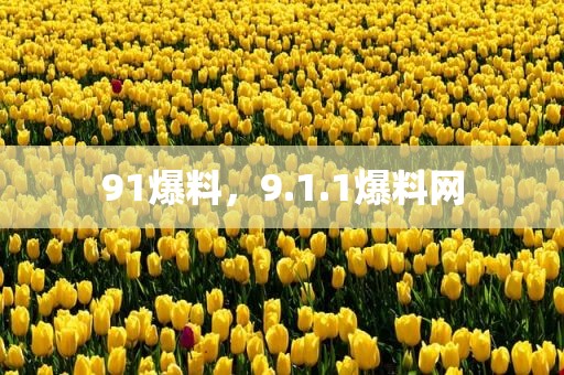 91爆料，9.1.1爆料网