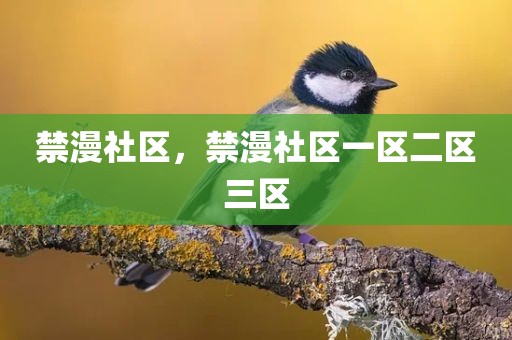 禁漫社区，禁漫社区一区二区三区