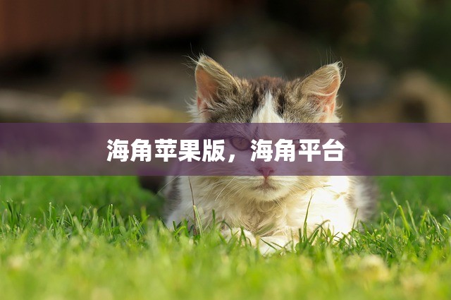 海角苹果版，海角平台