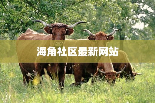 海角社区最新网站