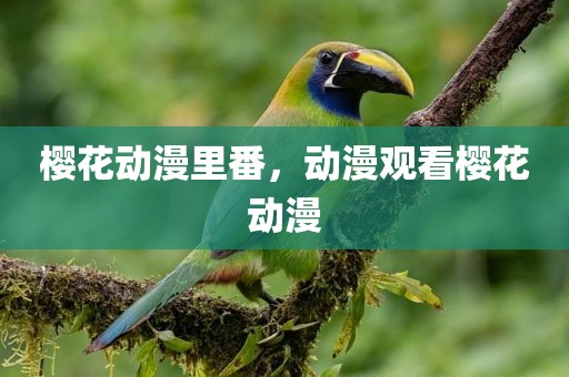 樱花动漫里番，动漫观看樱花动漫