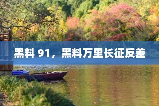黑料 91，黑料万里长征反差