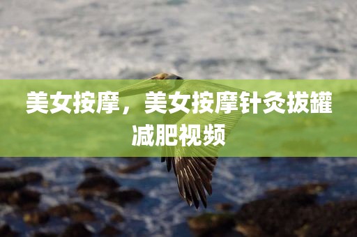美女按摩，美女按摩针灸拔罐减肥视频