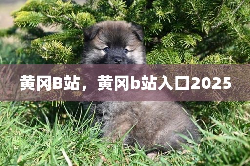 黄冈B站，黄冈b站入口2025