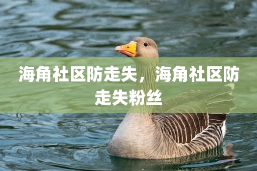 海角社区防走失，海角社区防走失粉丝