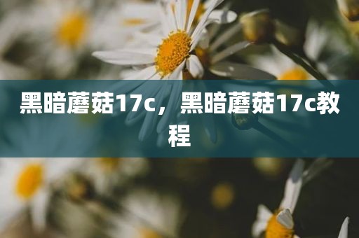 黑暗蘑菇17c，黑暗蘑菇17c教程