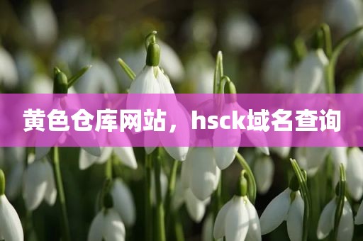 黄色仓库网站，hsck域名查询