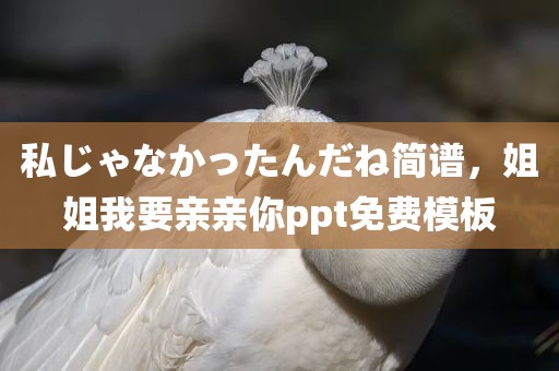 私じゃなかったんだね简谱，姐姐我要亲亲你ppt免费模板