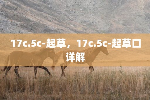 17c.5c-起草，17c.5c-起草口详解