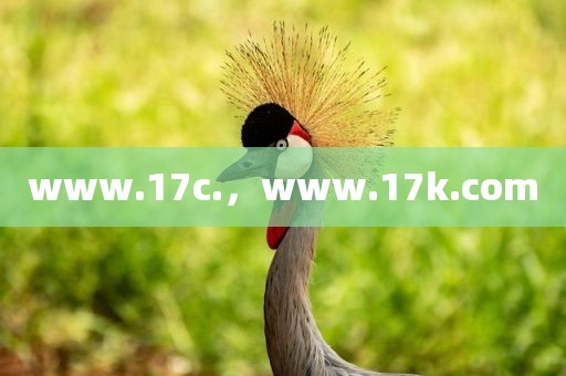 www.17c.，www.17k.com