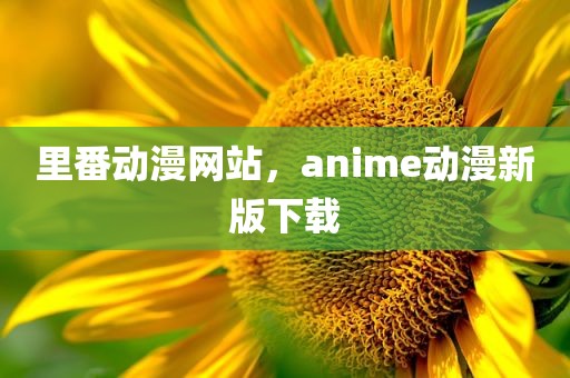 里番动漫网站，anime动漫新版下载