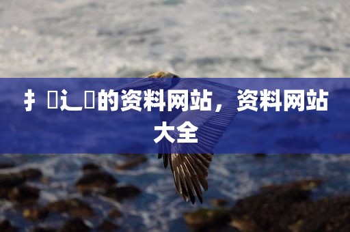 扌臿辶畐的资料网站，资料网站大全