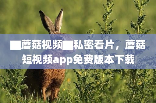 ▇蘑菇视频▇私密看片，蘑菇短视频app免费版本下载