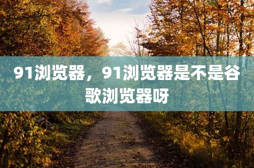 91浏览器，91浏览器是不是谷歌浏览器呀
