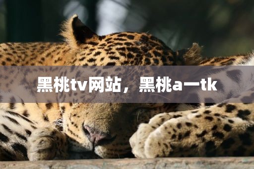 黑桃tv网站，黑桃a一tk