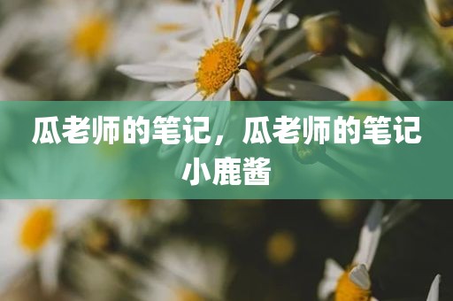 瓜老师的笔记，瓜老师的笔记小鹿酱