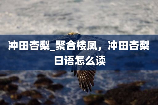 冲田杏梨_聚合楼凤，冲田杏梨日语怎么读