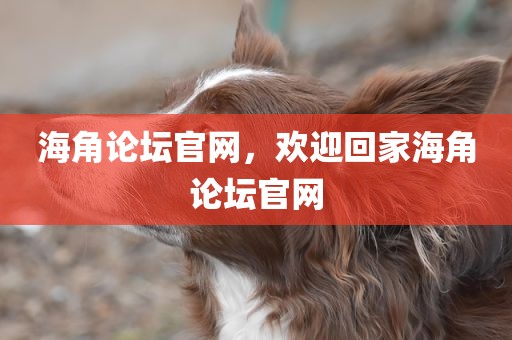 海角论坛官网，欢迎回家海角论坛官网