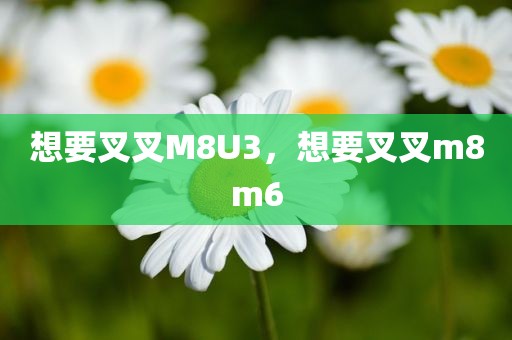 想要叉叉M8U3，想要叉叉m8m6