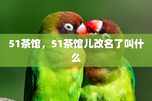51茶馆，51茶馆儿改名了叫什么