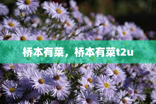 桥本有菜，桥本有菜t2u
