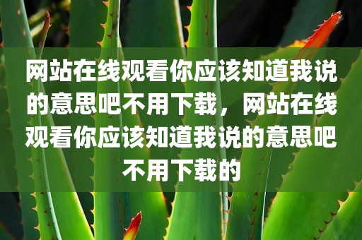 网站在线观看你应该知道我说的意思吧不用下载，网站在线观看你应该知道我说的意思吧不用下载的