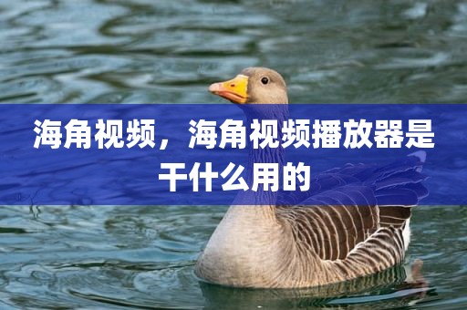 海角视频，海角视频播放器是干什么用的
