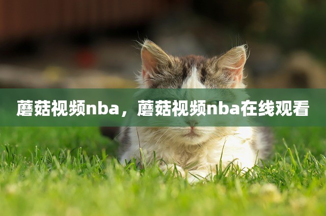 蘑菇视频nba，蘑菇视频nba在线观看