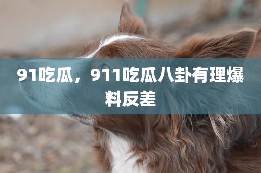 91吃瓜，911吃瓜八卦有理爆料反差