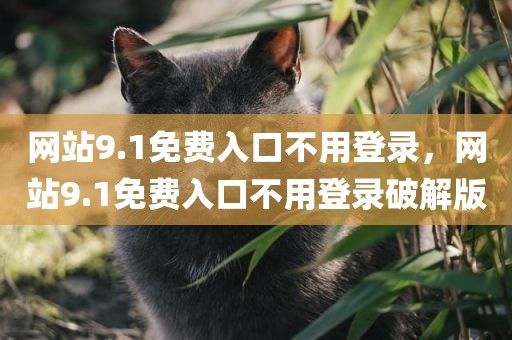 网站9.1免费入口不用登录，网站9.1免费入口不用登录破解版