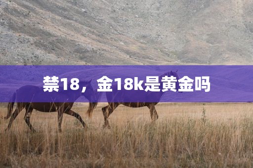禁18，金18k是黄金吗