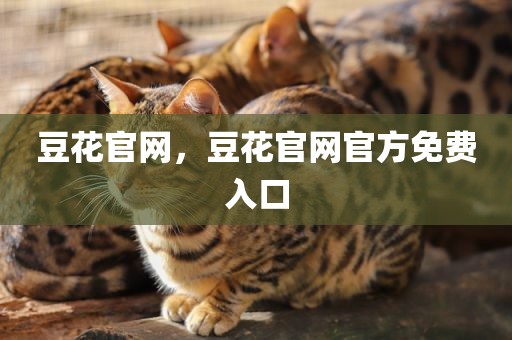 豆花官网，豆花官网官方免费入口