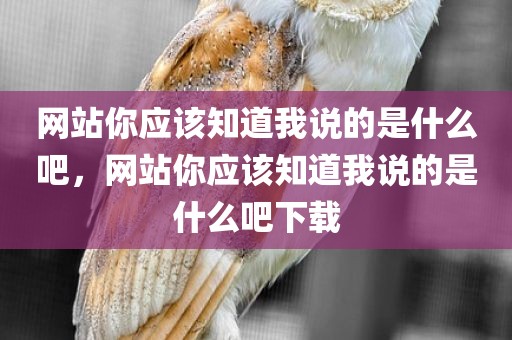 网站你应该知道我说的是什么吧，网站你应该知道我说的是什么吧下载