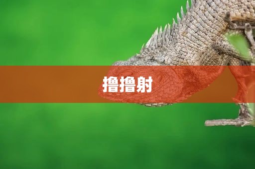 撸撸射