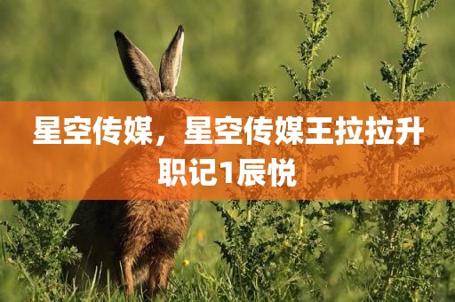 星空传媒，星空传媒王拉拉升职记1辰悦