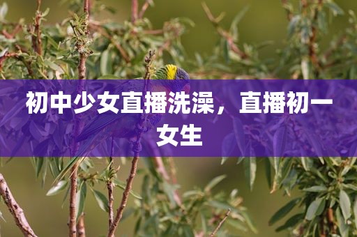 初中少女直播洗澡，直播初一女生