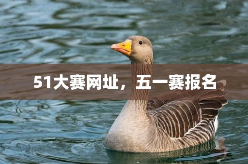 51大赛网址，五一赛报名