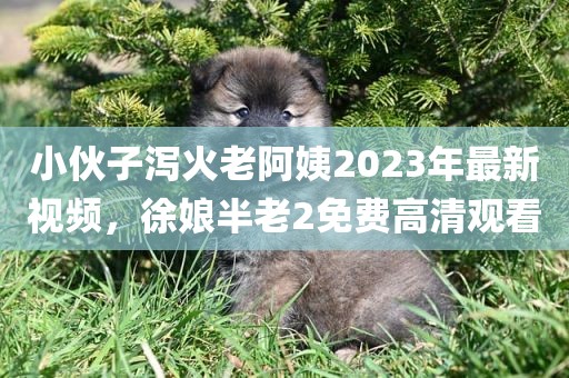 小伙子泻火老阿姨2023年最新视频，徐娘半老2免费高清观看