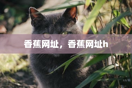 香蕉网址，香蕉网址h