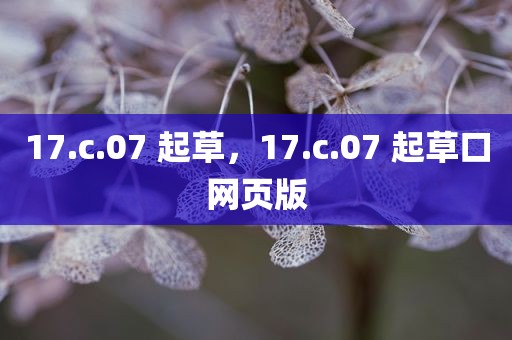 17.c.07 起草，17.c.07 起草口网页版