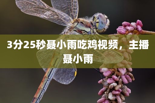 3分25秒聂小雨吃鸡视频，主播聂小雨