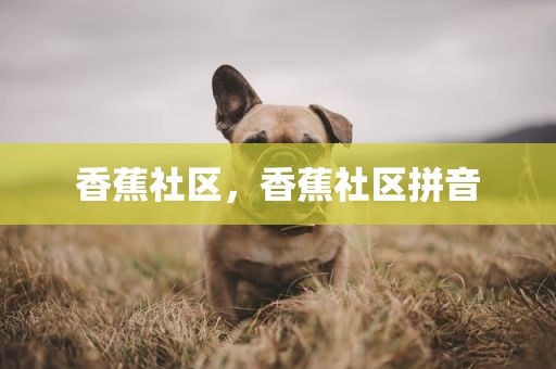 香蕉社区，香蕉社区拼音