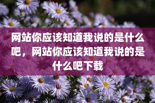 网站你应该知道我说的是什么吧，网站你应该知道我说的是什么吧下载