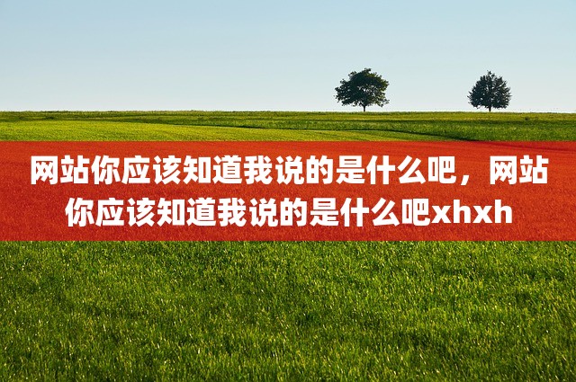网站你应该知道我说的是什么吧，网站你应该知道我说的是什么吧xhxh
