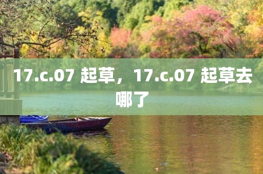17.c.07 起草，17.c.07 起草去哪了