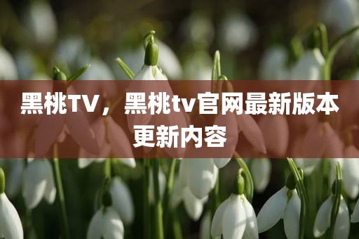 黑桃TV，黑桃tv官网最新版本更新内容