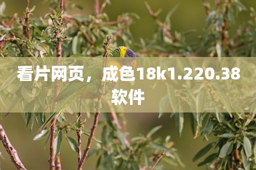 看片网页，成色18k1.220.38软件