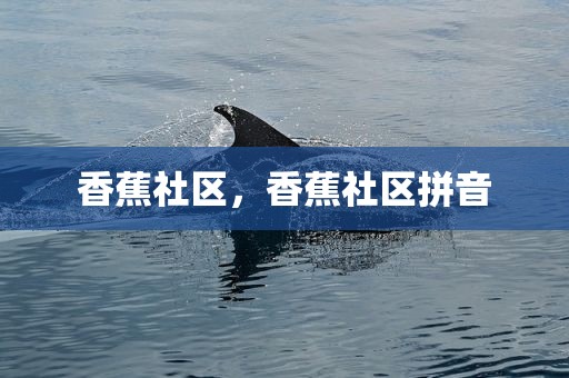 香蕉社区，香蕉社区拼音