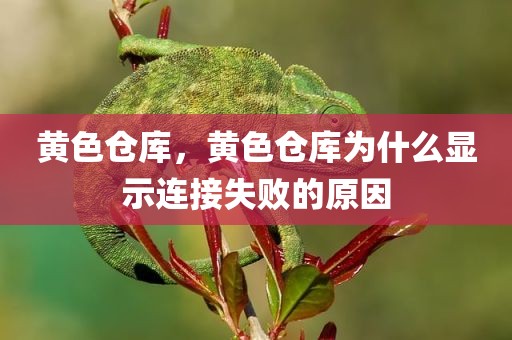 黄色仓库，黄色仓库为什么显示连接失败的原因