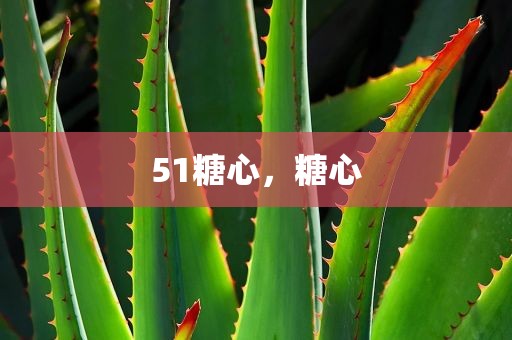 51糖心，糖心